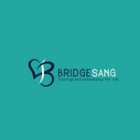 bridgesang training reviews|BridgeSang Trainings And Consultancy .
